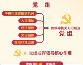 ¡¶ԳЩ涨