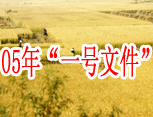 05һļ