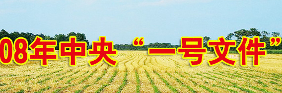 08һļ