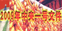 09һļ